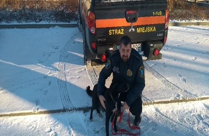 {Olsztyńska Straż Miejska informuje o psie znalezionym w Barczewie.}