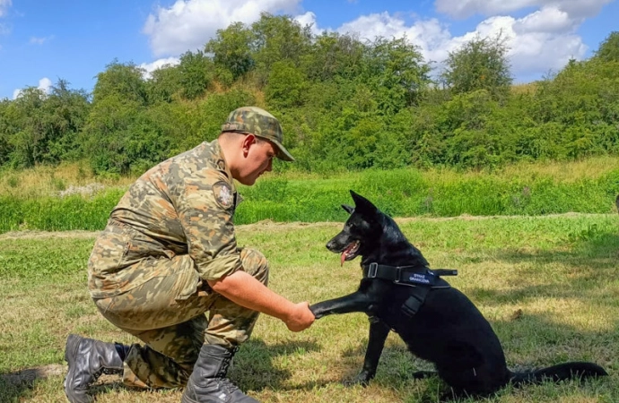 {1 lipca w Polsce obchodzony jest Dzień Psa. To święto obchodzą również psy pracujące w Straży Granicznej.}
